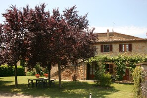 Outdoor dining - Beautiful apartment for 4 guests with WIFI, pool, TV and pets allowed, close to Cortona (Castiglion Fiorentino)