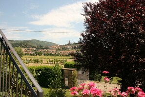 Property grounds - Beautiful apartment for 4 guests with WIFI, pool, TV and pets allowed, close to Cortona (Castiglion Fiorentino)