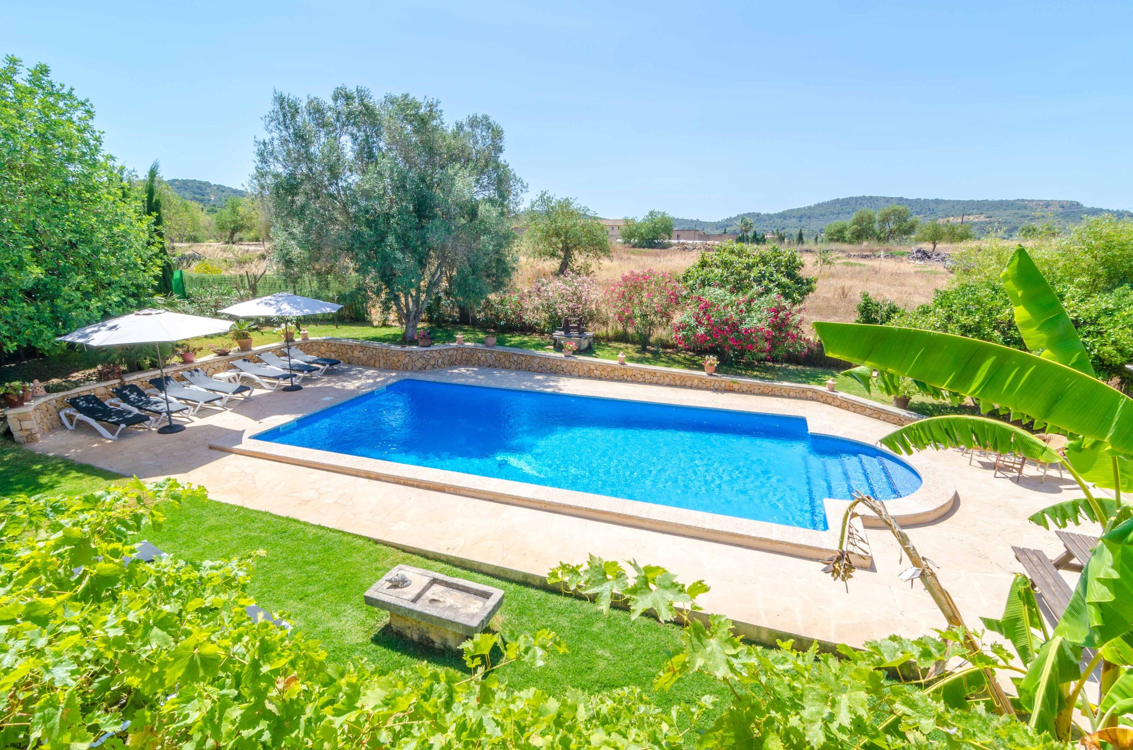 A rectangular swimming pool with a stone border, surrounded by a well-maintained garden with various plants and trees.