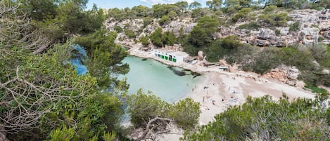 Vlak bij het strand