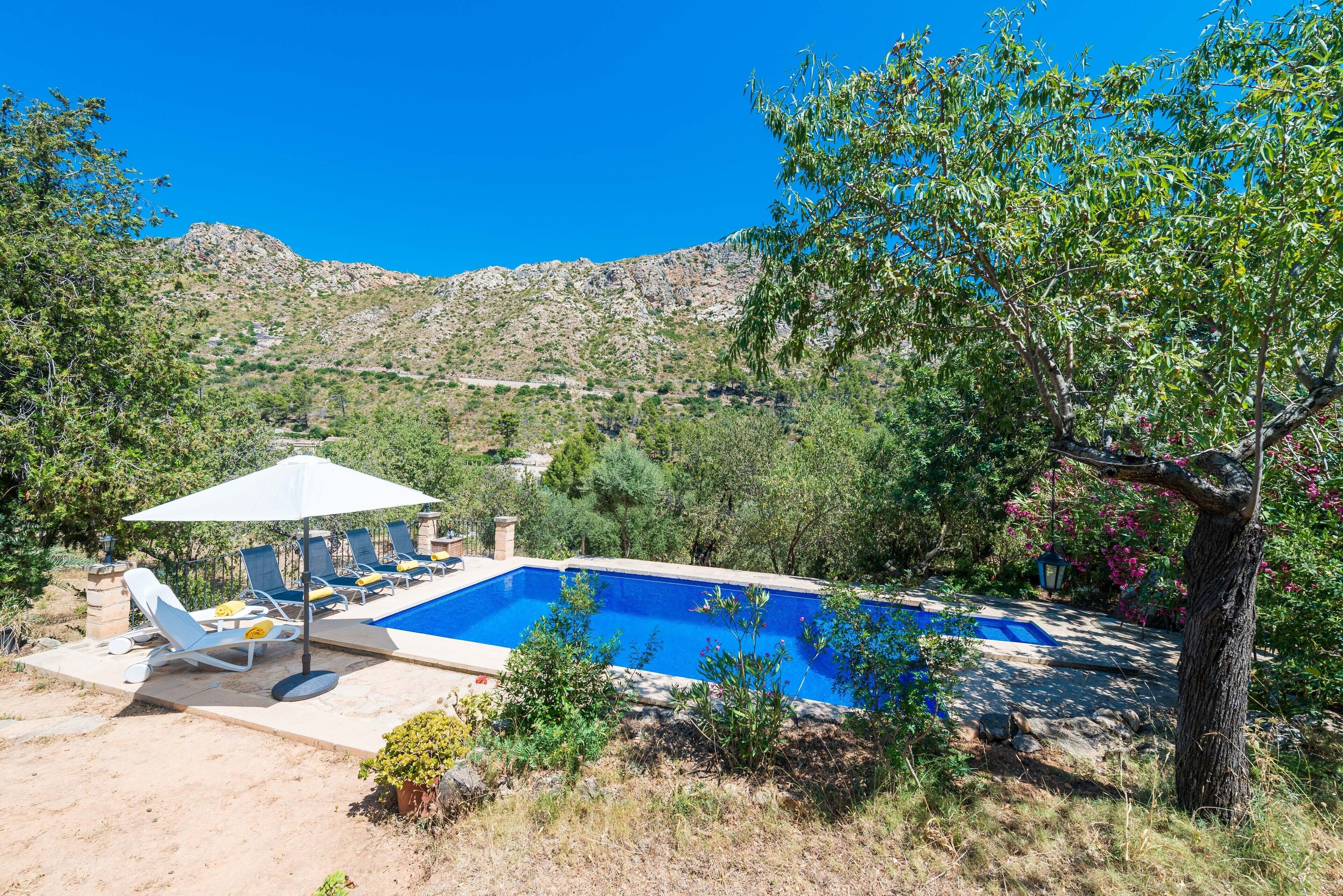 A swimming pool with lounge chairs and an umbrella, surrounded by greenery and a mountainous backdrop.