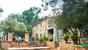 A stone house with a balcony, potted plants, and a staircase leading to the entrance. - SA TARONGERA - Villa with private pool in ANDRATX. Free WiFi (Andratx)