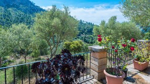 A balcony with potted plants and a view of a mountainous landscape. - SA TARONGERA - Villa with private pool in ANDRATX. Free WiFi (Andratx)
