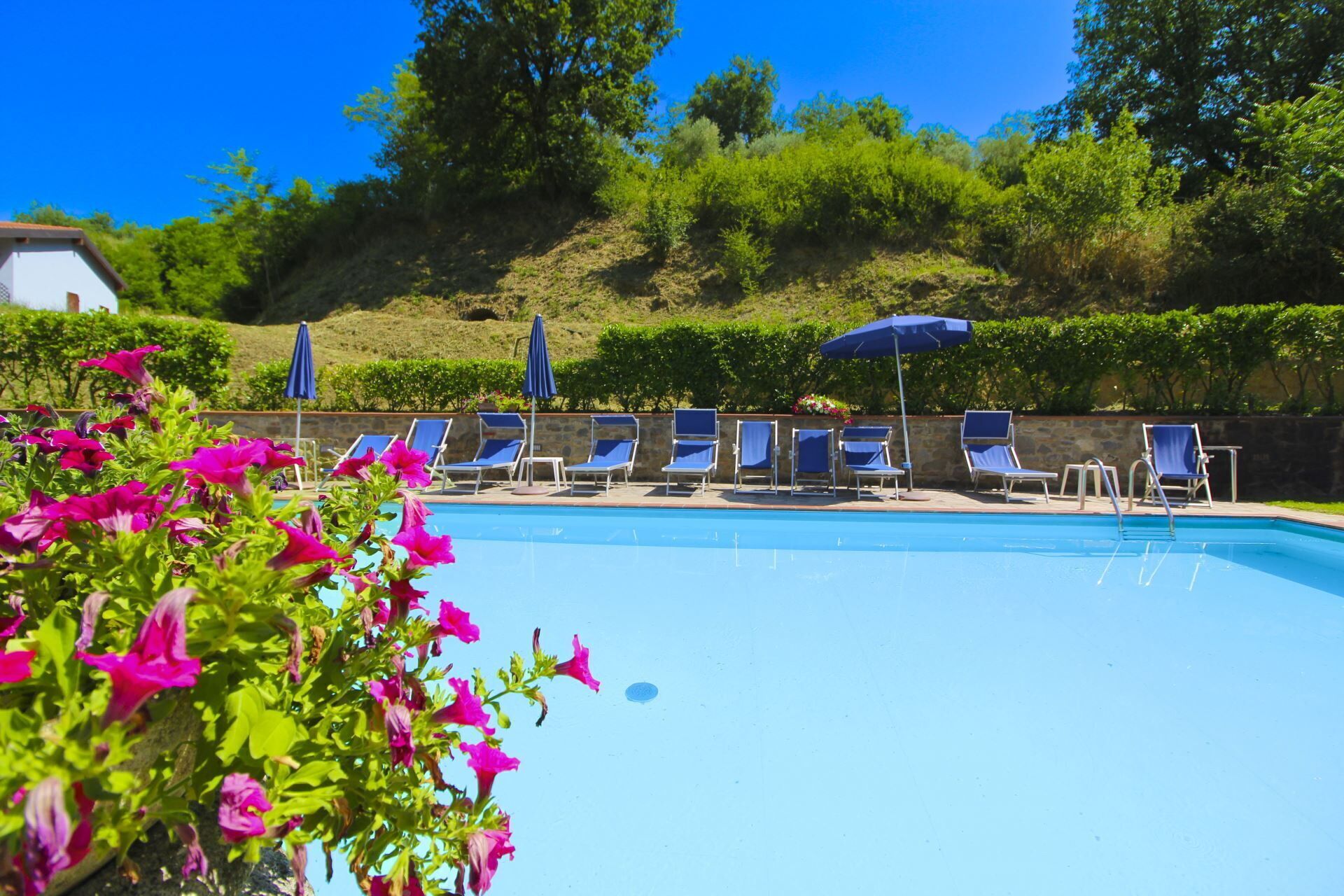 A swimming pool with lounge chairs and umbrellas, surrounded by greenery and a stone wall.