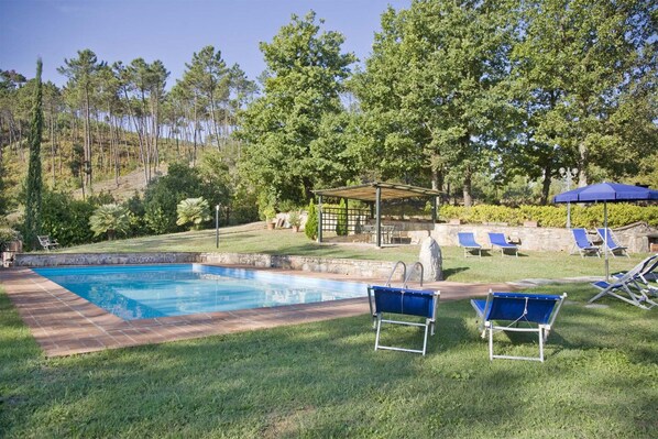 Ein Schwimmbecken mit Steinrand, umgeben von Gras und Bäumen. Blaue Liegestühle und eine überdachte Sitzgelegenheit sind vorhanden.