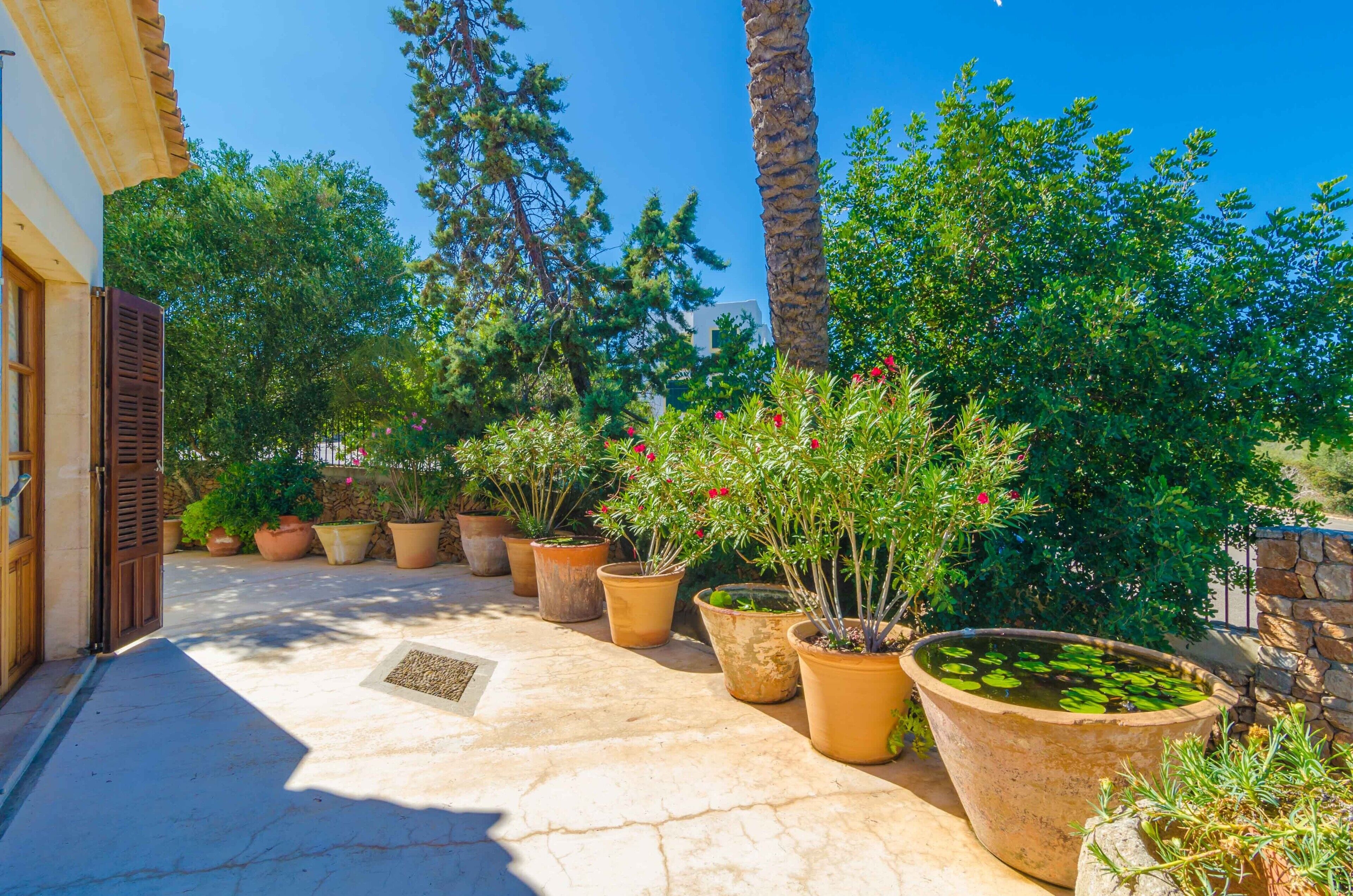 A courtyard with potted plants, a palm tree, and a stone wall.
