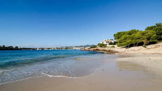 Ein Strand mit klarem, blauem Wasser, einem sandigen Ufer und einem weißen Gebäude mit Bäumen in der Nähe.