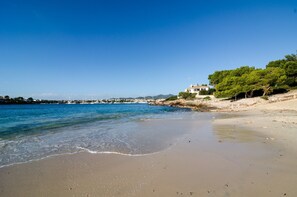 Playa en los alrededores 