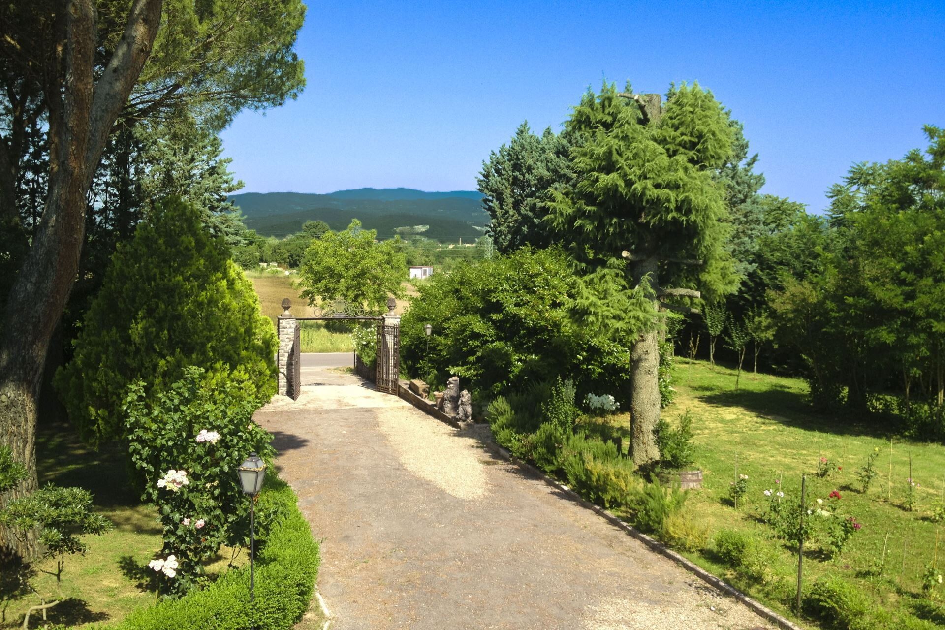A pathway leading to a gated entrance surrounded by lush greenery and trees.