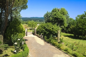 A pathway leading to a gated entrance surrounded by lush greenery and trees.