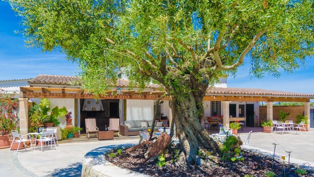 Un vaste espace extérieur agrémenté d’un grand arbre, de mobilier de jardin et d’une bordure en pierre.
