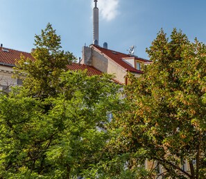 Exterior - Beautiful Apartment with Private Terrace in Central Prague (Praha 3)