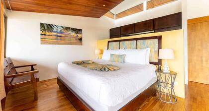 Erstaunliches Haus mit Meerblick, 6 Schlafzimmer, Schlafmöglichkeiten für 12-14 in der Nähe von Playa Conchal!
