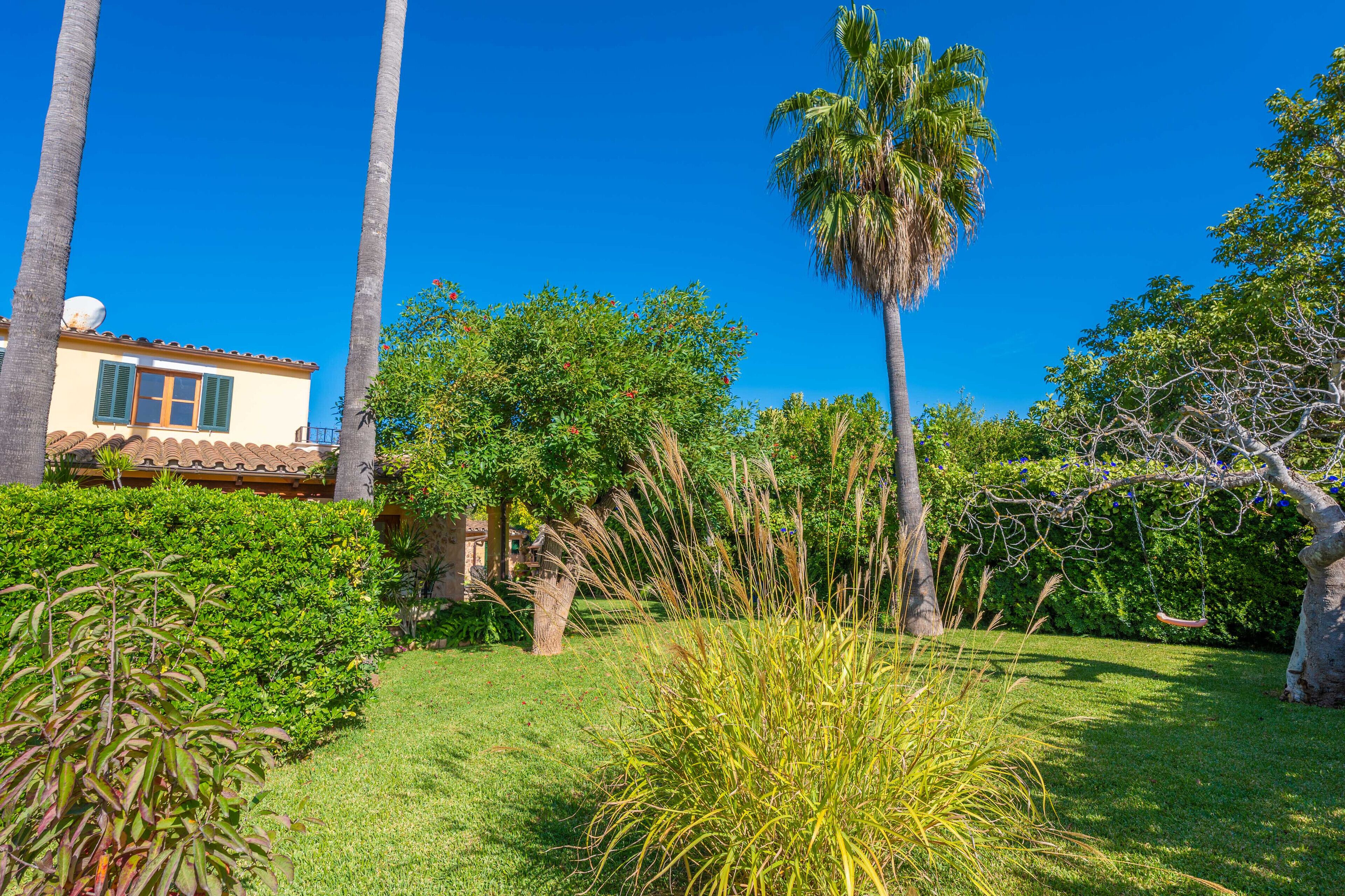 A house with a tiled roof, a garden with palm trees, and a clear blue sky.