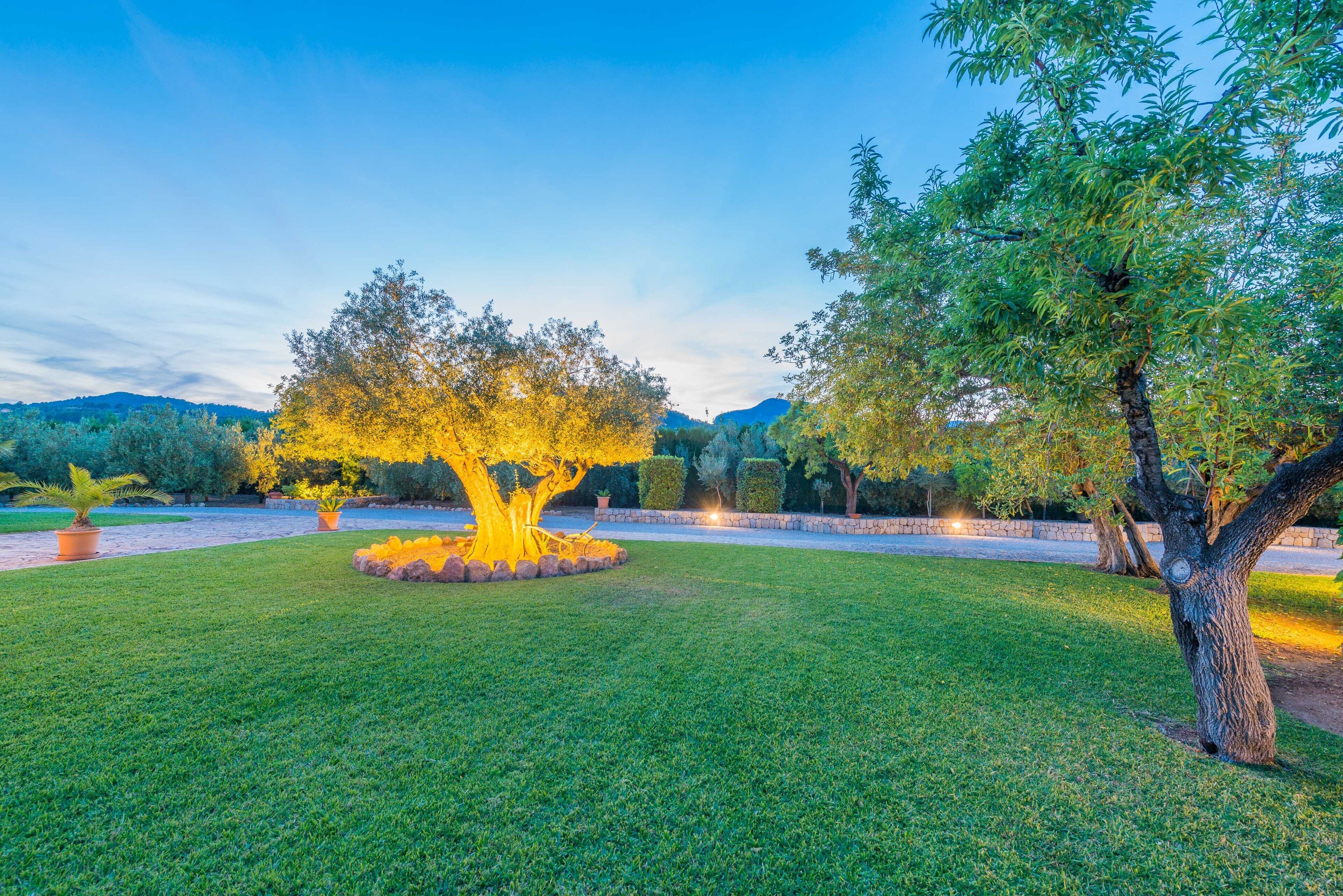 Terrein van de accommodatie