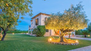 Un giardino curato con un grande albero illuminato da luci, un vialetto in pietra e un edificio con tetto in tegole e finestre ad arco.