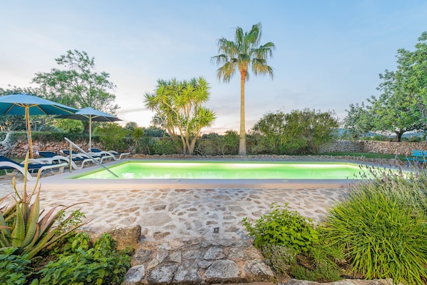 Ein Swimmingpool mit einem steinernen Weg, der davorführt, umgeben von Grünpflanzen und einer Palme.