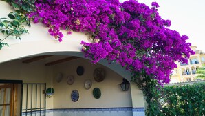 A building facade with vibrant purple bougainvillea vines, decorative plates, and a tiled archway.