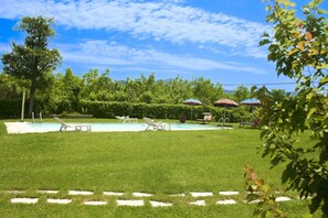 A backyard with a swimming pool, lounge chairs, and umbrellas.