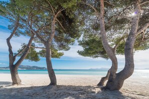 A beach with three trees and a clear view of the sea.