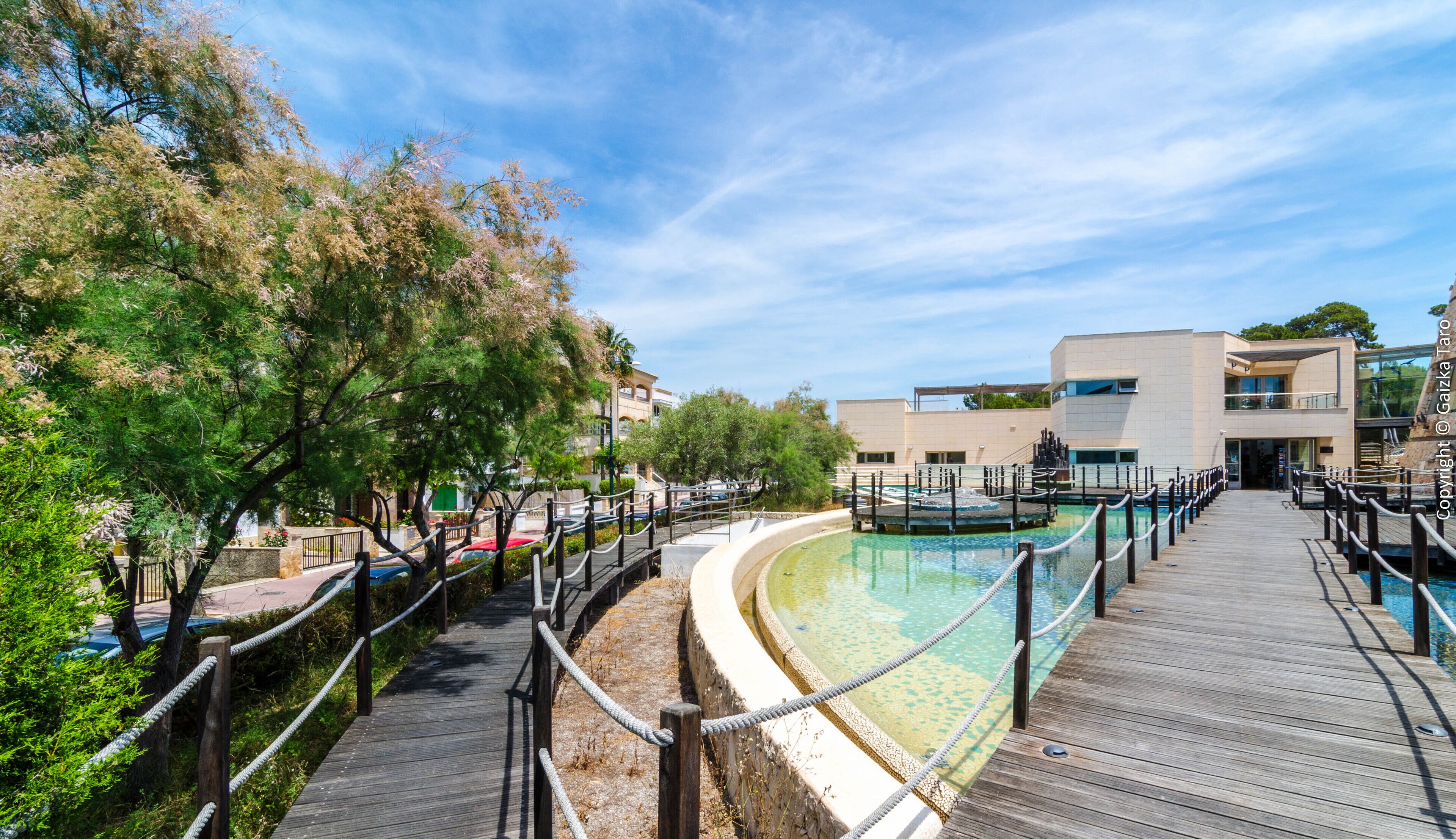 A wooden boardwalk leading to a pool area with a modern building in the background.