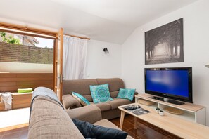 TV