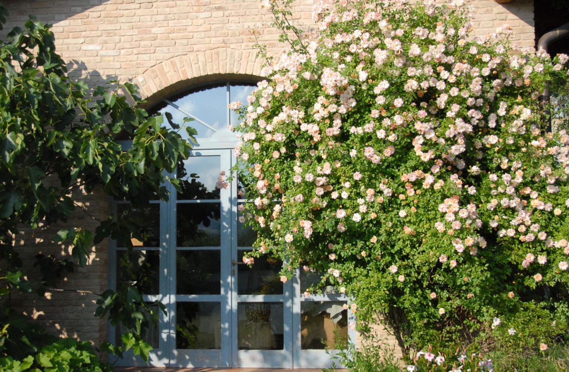 Detall de l'exterior