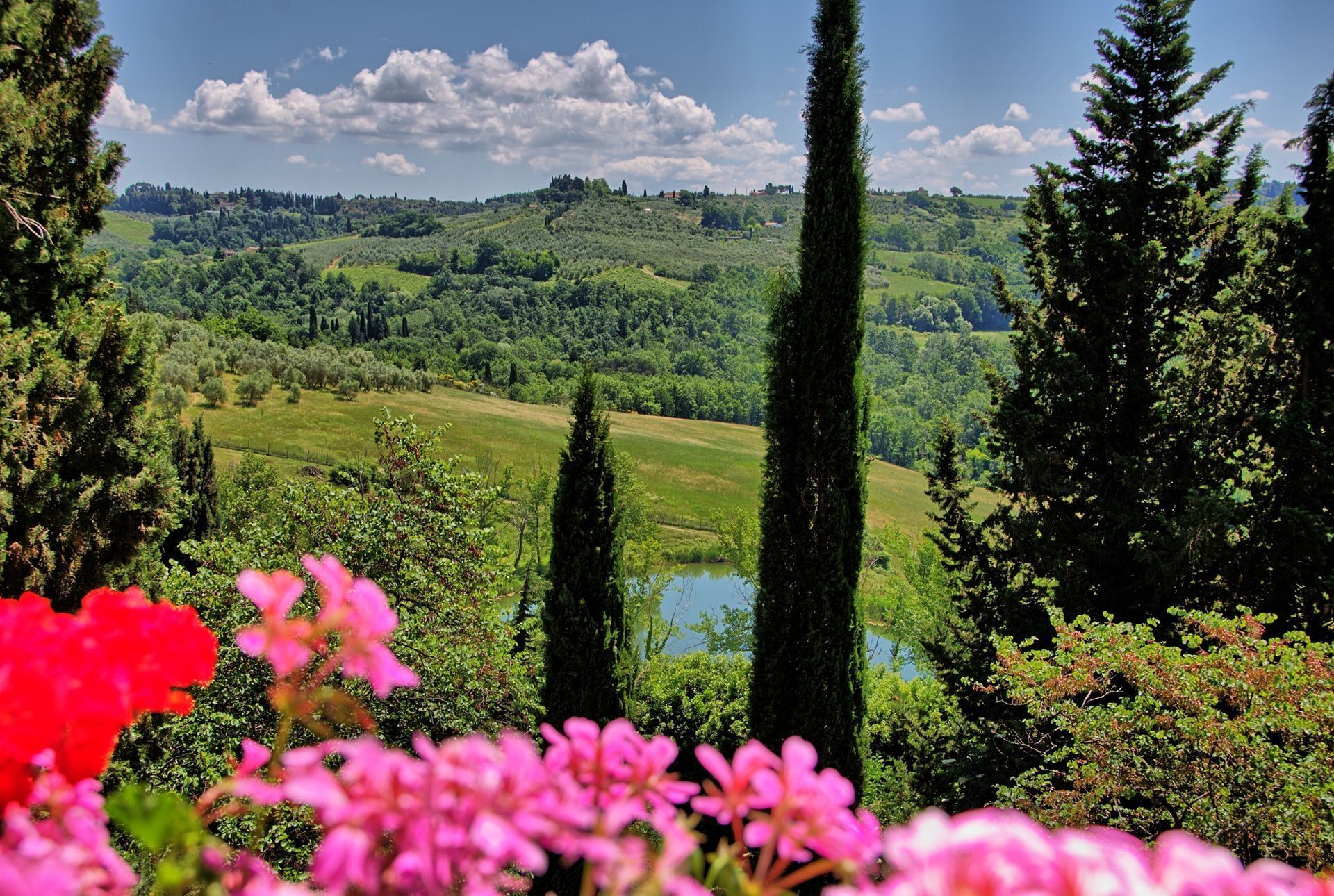 Paesaggio rigoglioso con dolci colline, un corpo d'acqua e alberi alti.