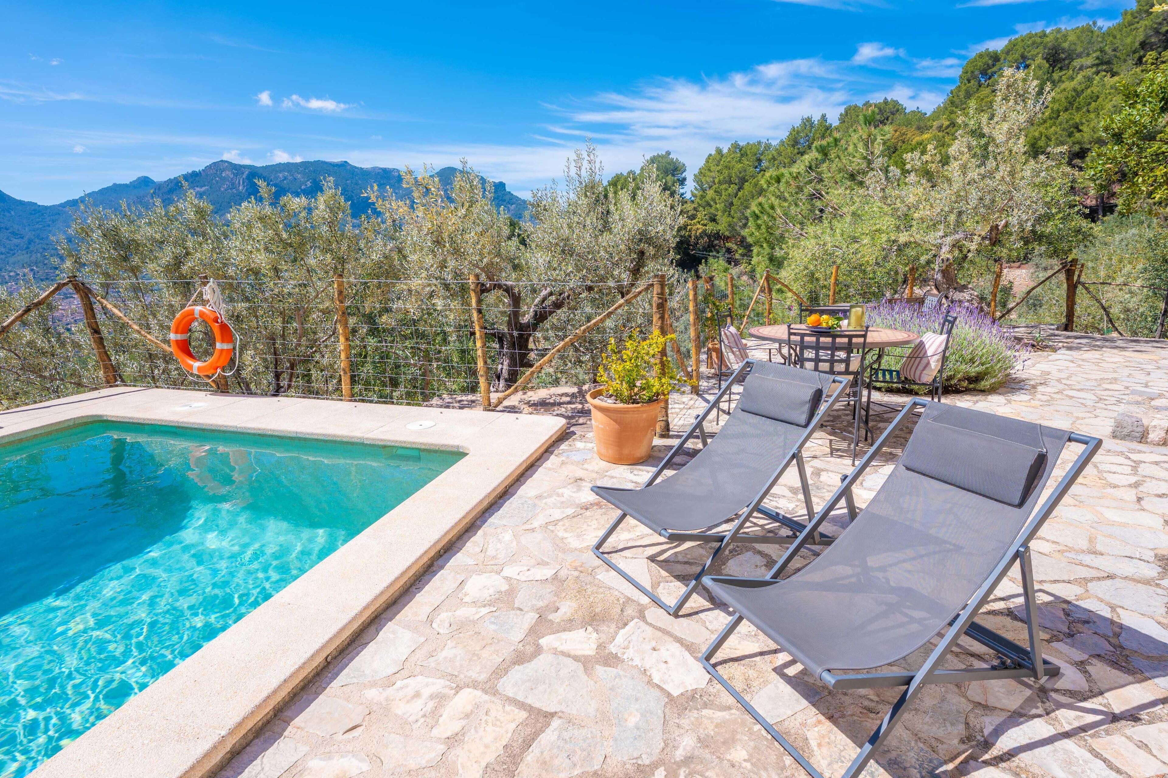 Una piscina con sillas de descanso y un flotador salvavidas, rodeada de pavimento de piedra y plantas en macetas.