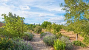 A gravel path surrounded by various plants and trees in a garden setting. - CAS PILOT - Villa with private pool in Santa Maria del Cami. Free WiFi (Santa Maria)