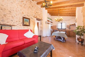 TV, fireplace, stereo - SA FIGUERA BLANCA - Great traditional villa with private pool in inland Majorca. (Búger)