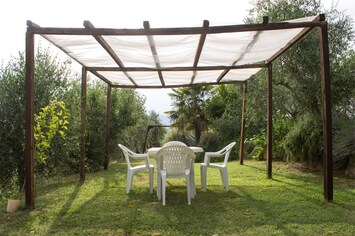 Plante, Meubles, Ciel, Ombre, Arbre, Chaise, Table, Mobilier De Jardin, Tableau De Plein Air, Herbe