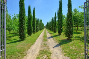 Property grounds - Stunning private villa with hot tub, private pool, WIFI, A/C and panoramic view, close to Cortona (Fratticciola)