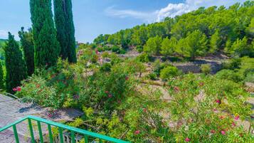 Áreas de la propiedad