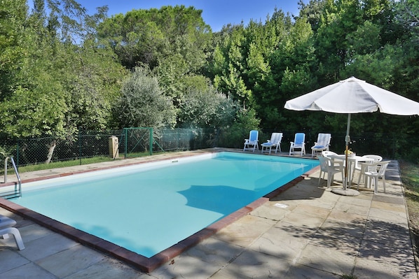 Relax by the pool surrounded by lush greenery and comfortable lounge chairs.