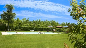 A backyard with a swimming pool, lounge chairs, and umbrellas. - Lovely apartment for 4 people with WIFI, pool, TV and pets allowed, close to Cortona (Castiglion Fiorentino)