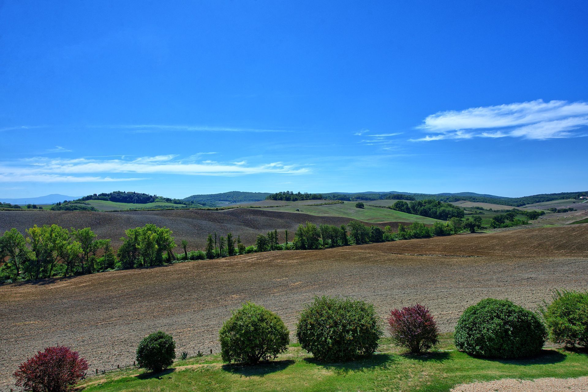 A landscape with rolling hills, a clear sky, and a variety of vegetation including trees and shrubs.