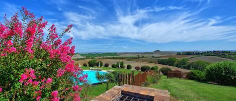 A pool with a brick barbecue grill, surrounded by lush greenery and pink flowers, with a scenic view of rolling hills and a clear sky.