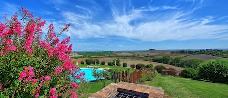 A pool with a brick barbecue grill, surrounded by lush greenery and pink flowers, with a scenic view of rolling hills and a clear sky.
