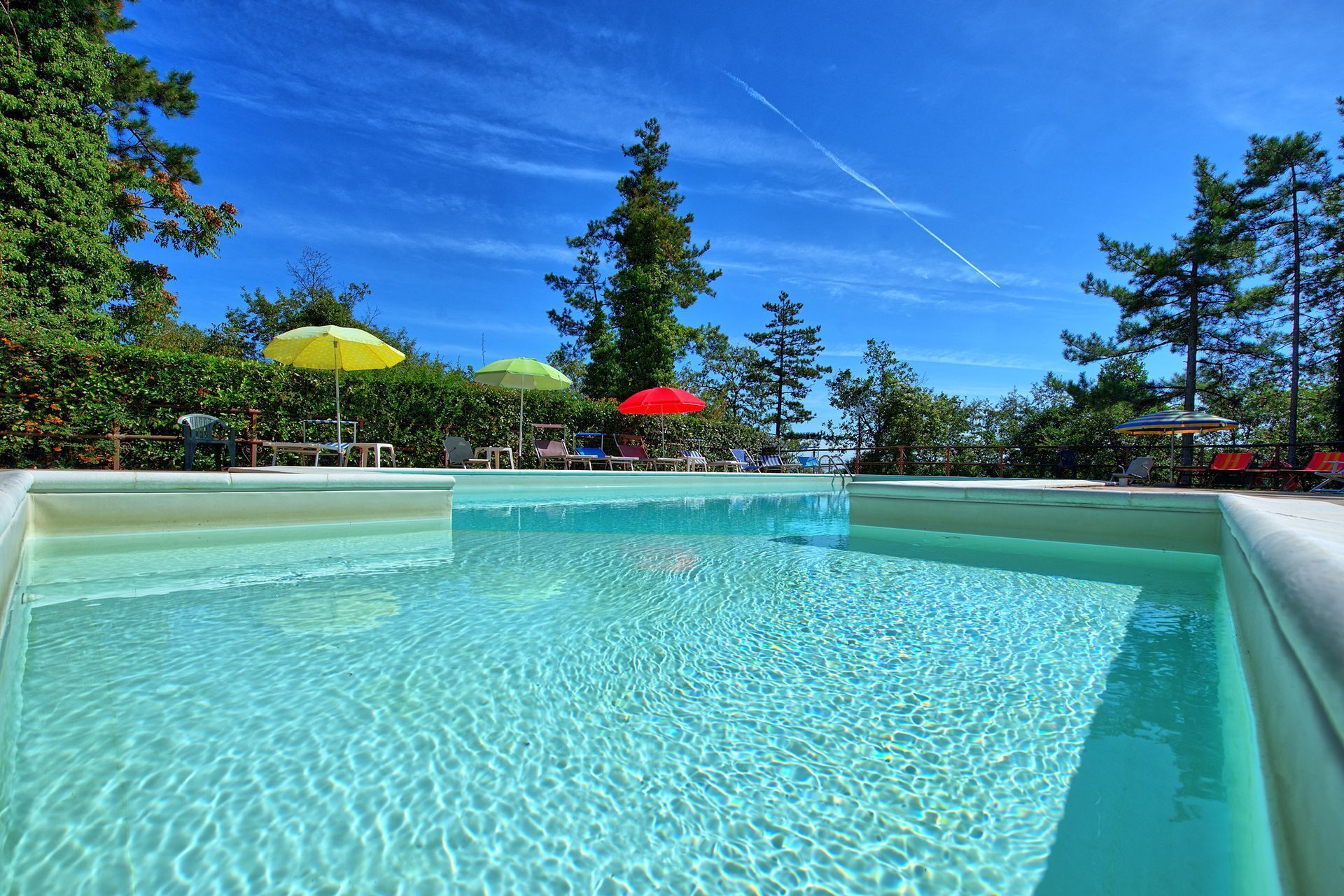 Une piscine aux eaux cristallines, bordée de chaises longues et d’ombrelles, le tout entouré d’arbres.