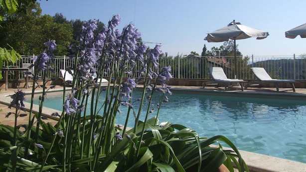 Zona de piscina con sillones de descanso y sombrillas, rodeada de follaje y con vistas a un paisaje pintoresco.