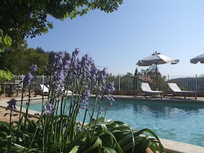 Uma área de piscina com espreguiçadeiras e guarda-sóis, rodeada por vegetação exuberante e flores roxas.