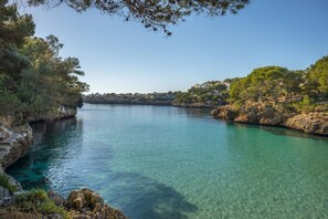 A coastal landscape with clear turquoise water, rocky terrain, and dense greenery.