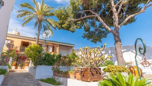 A courtyard with a stone pathway, potted plants, a palm tree, and a building with a clock and a door.