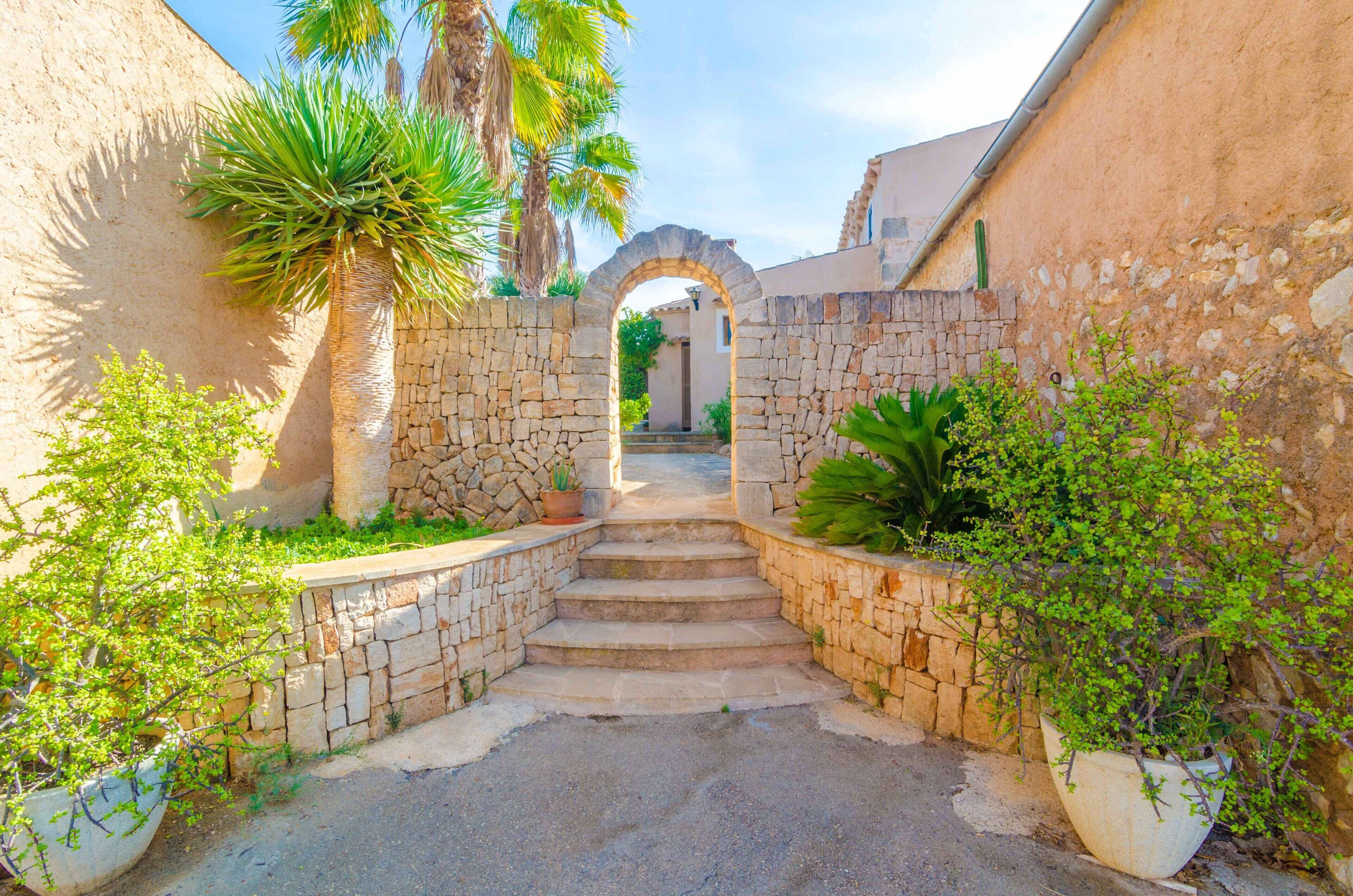 A stone staircase leading to a doorway, surrounded by potted plants and palm trees.