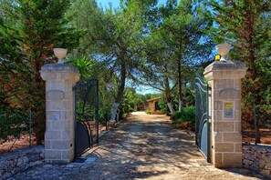 Walk along the shaded pathway lined with trees to the charming building with a red roof.