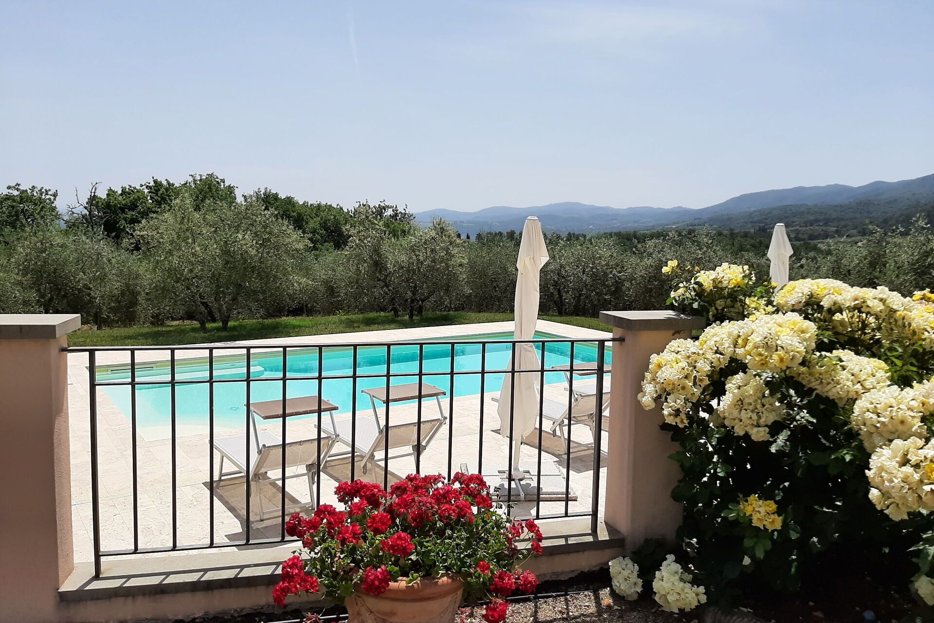 Garden, Outdoor, Pool