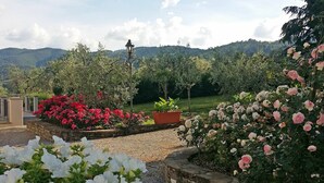 Property grounds - Villa Gaville - Villa with private pool (Gaville)