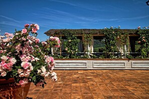 A garden with a pergola covered in climbing plants, a wooden bench, and a large potted plant with pink flowers.