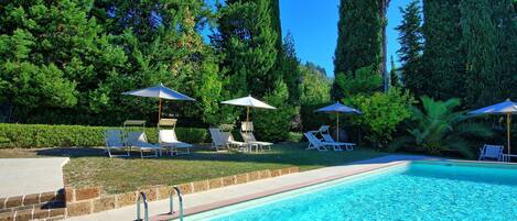 A swimming pool with lounge chairs and umbrellas, surrounded by tall trees.